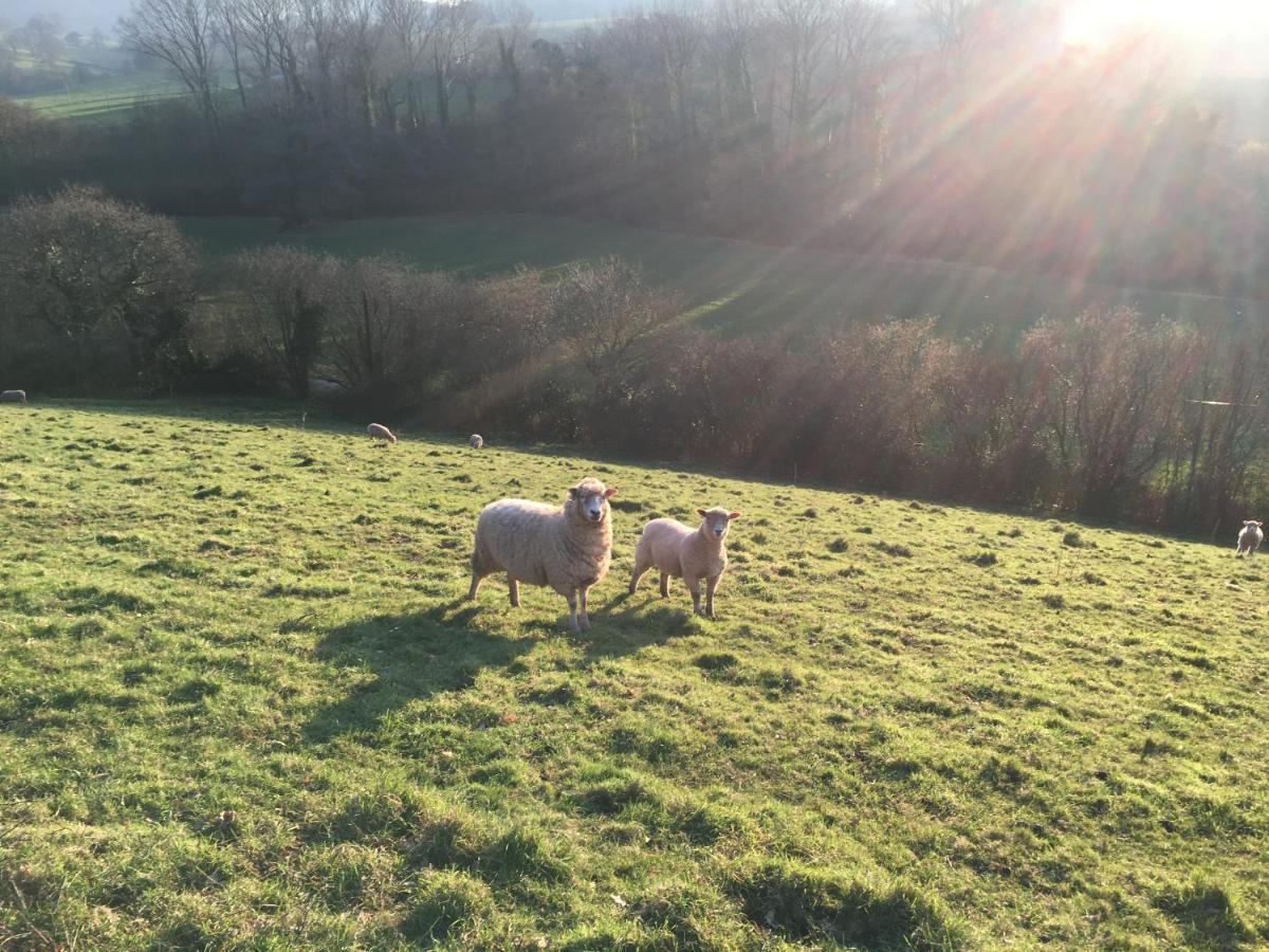 Barn In Somerset Romantic Hideaway Nettlecombe  外观 照片